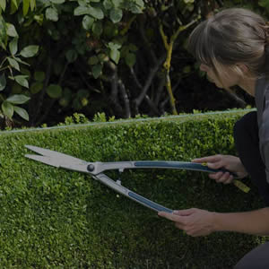 Jardinero realizando mantenci&oacute;n de &aacute;reas verdes