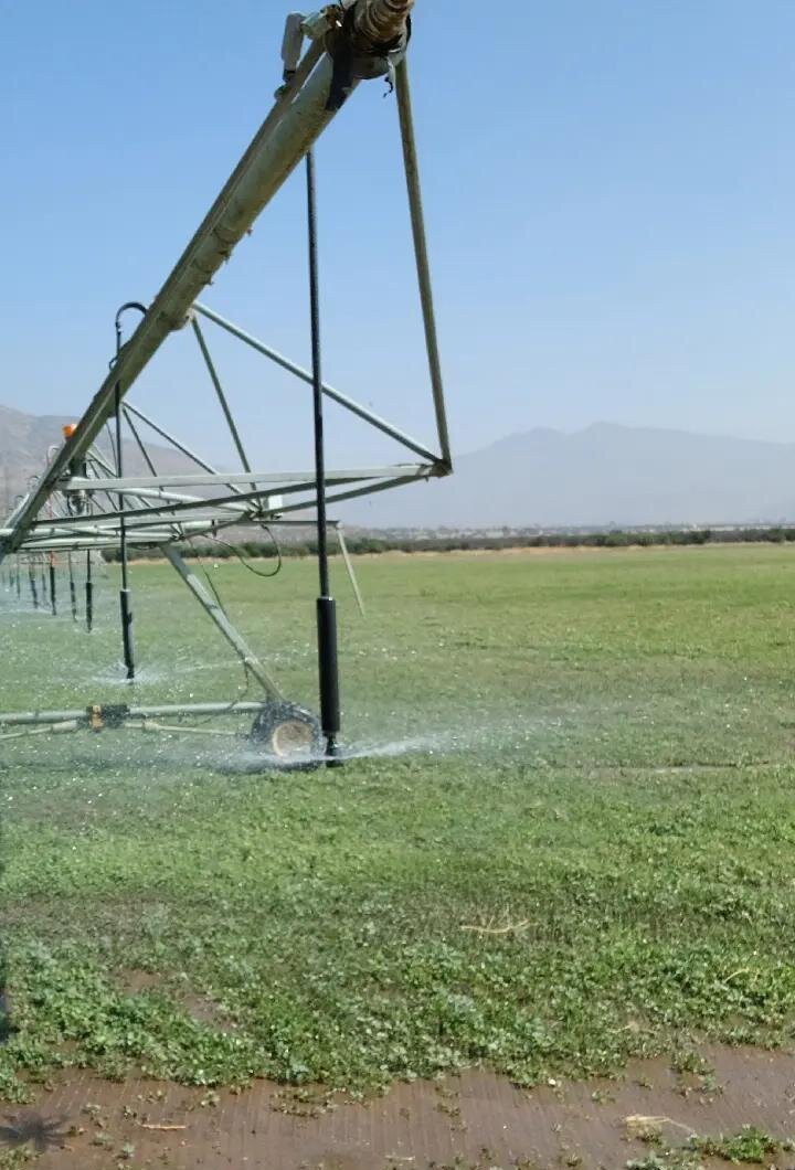Pivote de riego por aspersión regando un cultivo en la zona central
